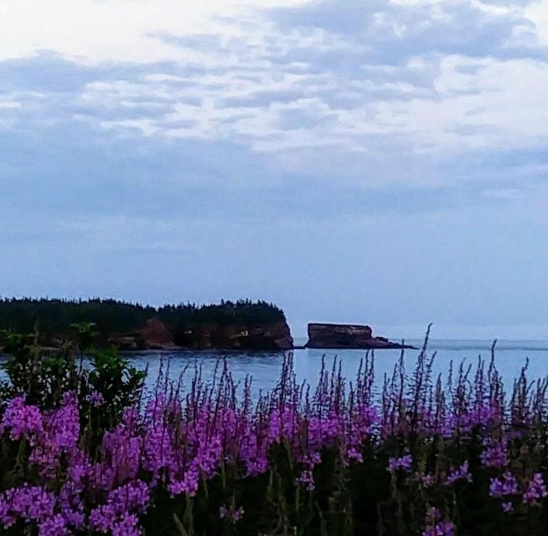 Gardner Creek Moore'S Specialties Fundy Bay House Rental מראה חיצוני תמונה