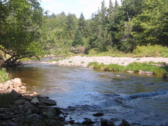 Gardner Creek Moore'S Specialties Fundy Bay House Rental מראה חיצוני תמונה