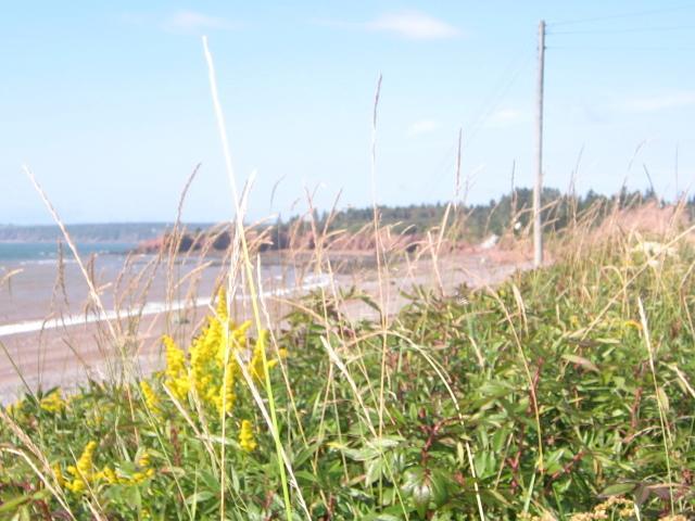 Gardner Creek Moore'S Specialties Fundy Bay House Rental מראה חיצוני תמונה