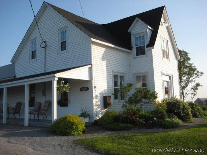Gardner Creek Moore'S Specialties Fundy Bay House Rental מראה חיצוני תמונה