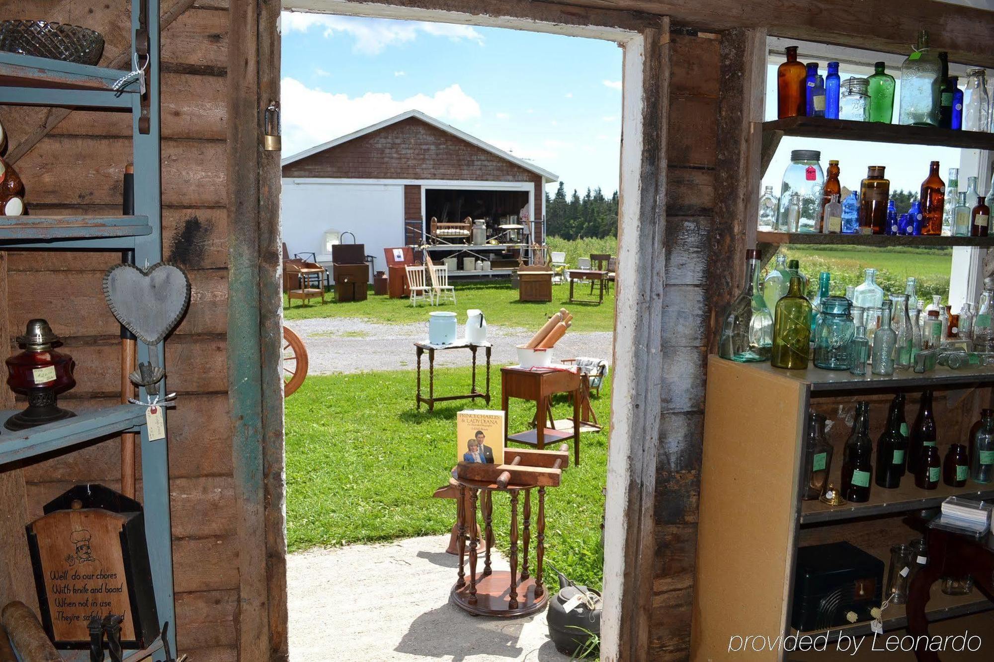 Gardner Creek Moore'S Specialties Fundy Bay House Rental מראה חיצוני תמונה