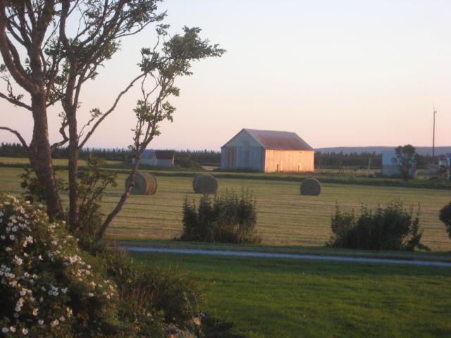 Gardner Creek Moore'S Specialties Fundy Bay House Rental מראה חיצוני תמונה