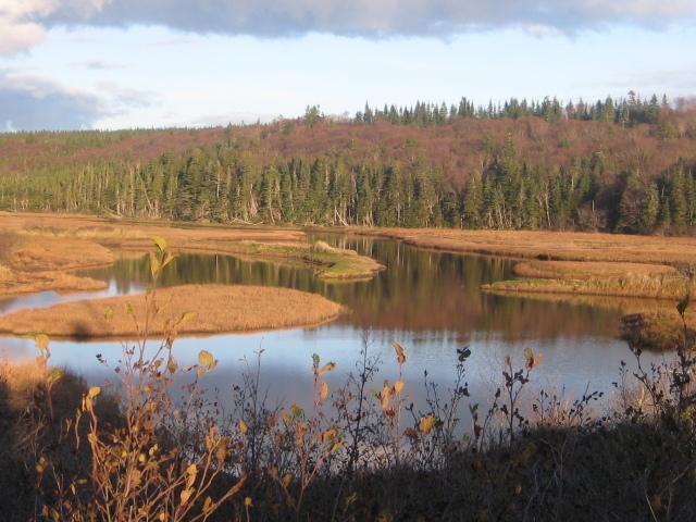 Gardner Creek Moore'S Specialties Fundy Bay House Rental מראה חיצוני תמונה