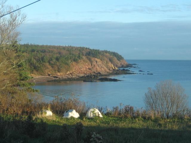 Gardner Creek Moore'S Specialties Fundy Bay House Rental מראה חיצוני תמונה