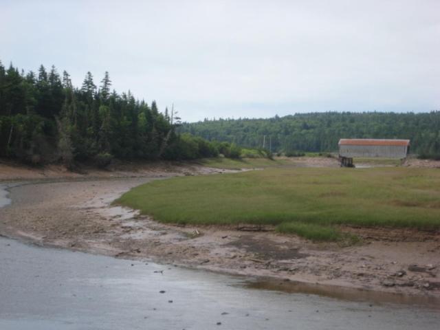 Gardner Creek Moore'S Specialties Fundy Bay House Rental מראה חיצוני תמונה
